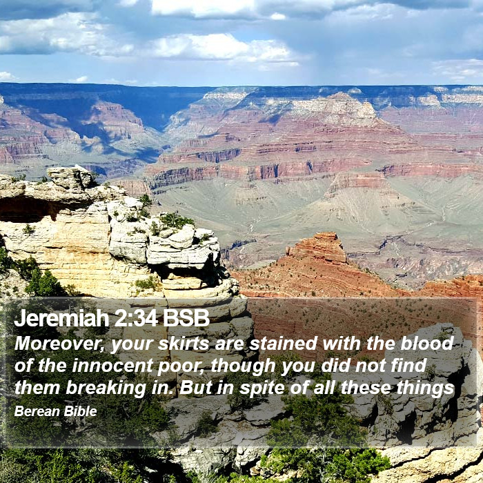 Jeremiah 2:34 BSB Bible Study