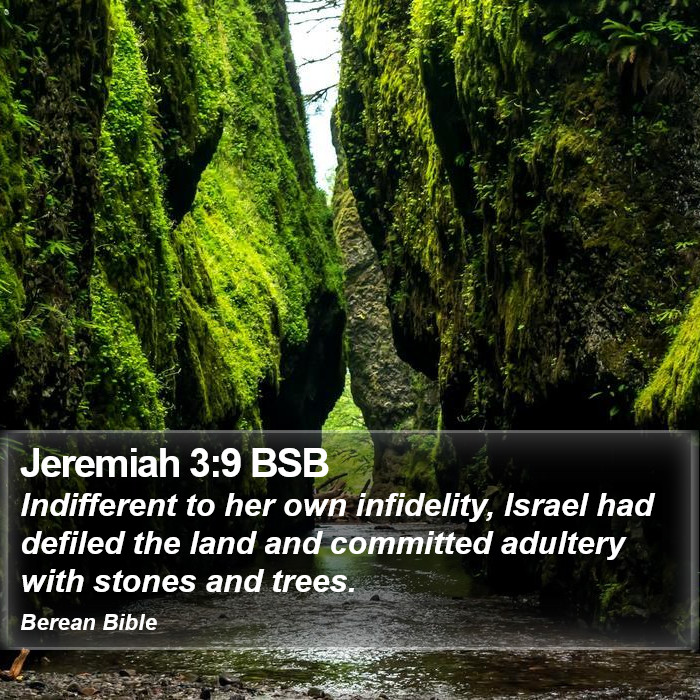 Jeremiah 3:9 BSB Bible Study