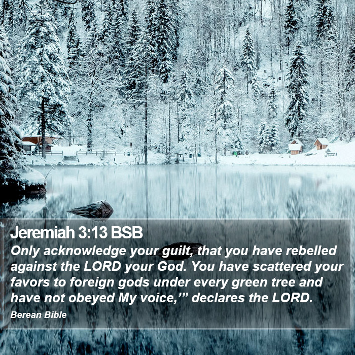 Jeremiah 3:13 BSB Bible Study