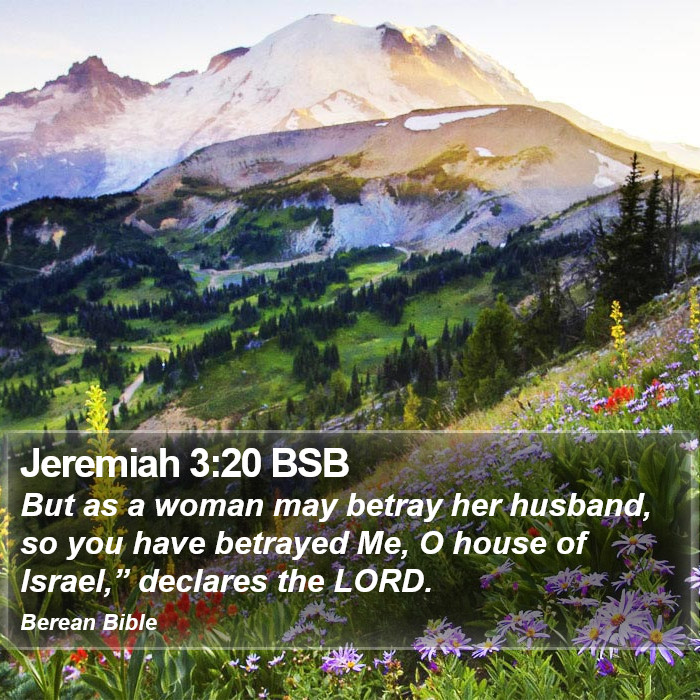 Jeremiah 3:20 BSB Bible Study