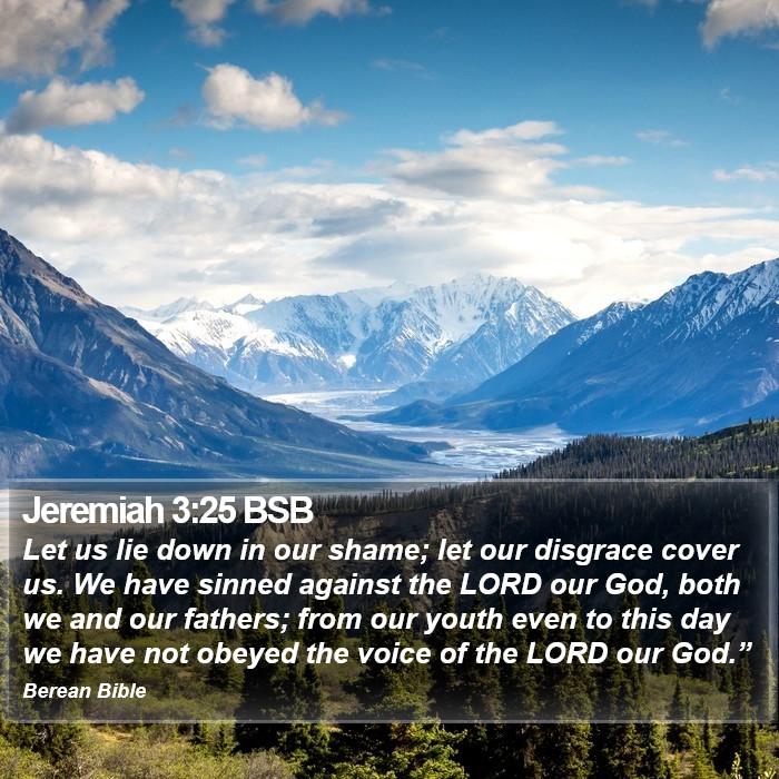 Jeremiah 3:25 BSB Bible Study