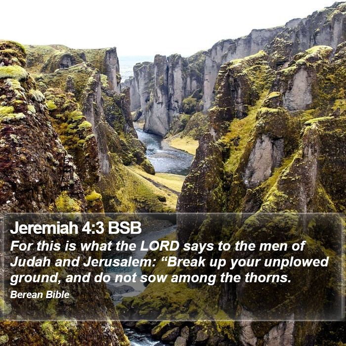 Jeremiah 4:3 BSB Bible Study