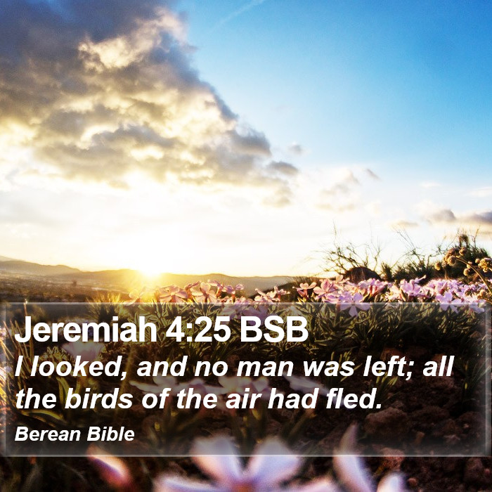 Jeremiah 4:25 BSB Bible Study