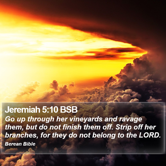 Jeremiah 5:10 BSB Bible Study