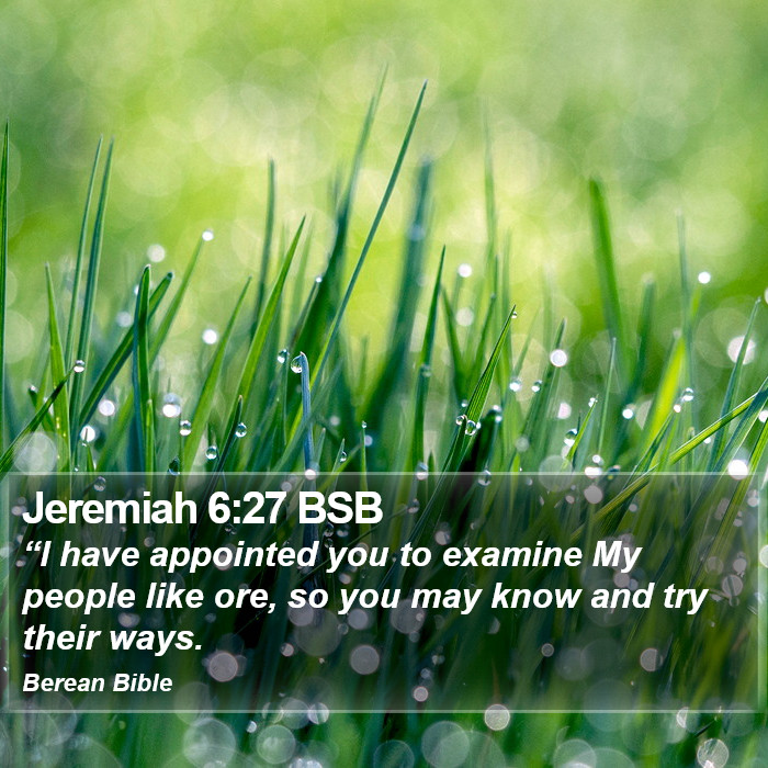 Jeremiah 6:27 BSB Bible Study