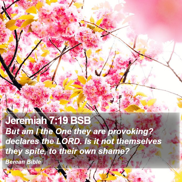 Jeremiah 7:19 BSB Bible Study