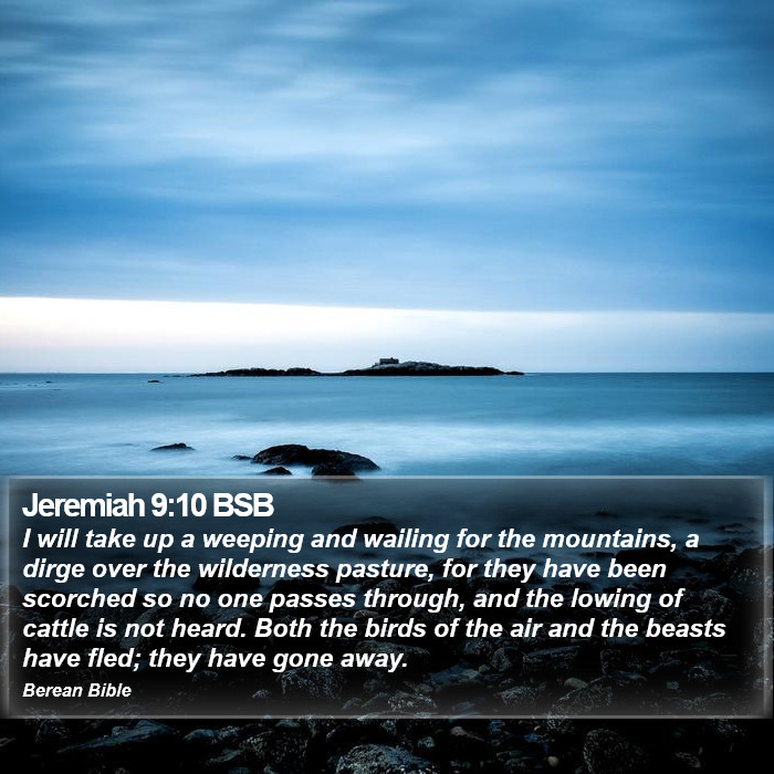 Jeremiah 9:10 BSB Bible Study