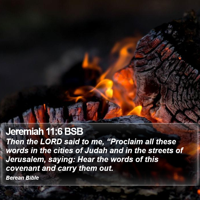 Jeremiah 11:6 BSB Bible Study