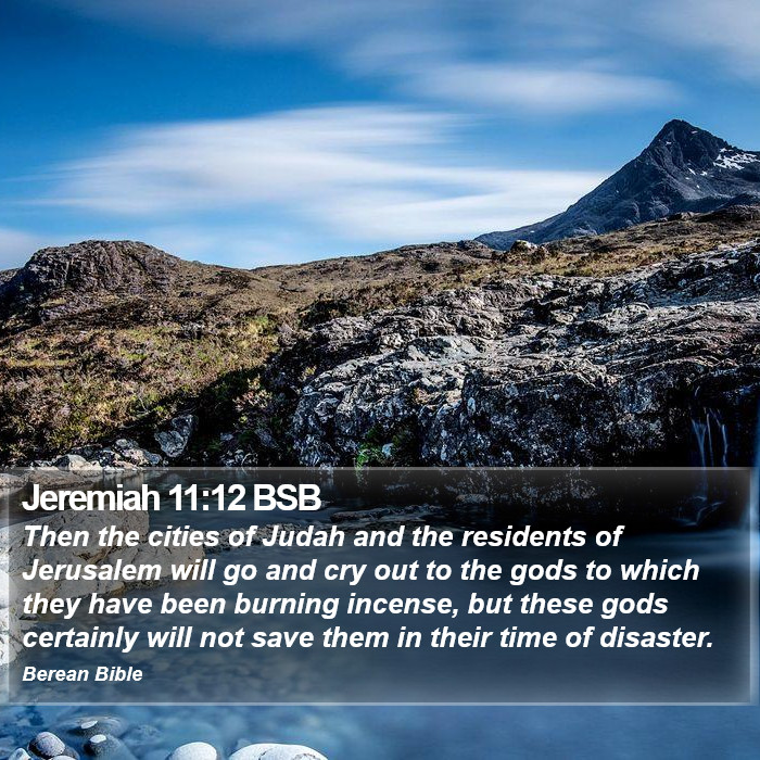 Jeremiah 11:12 BSB Bible Study