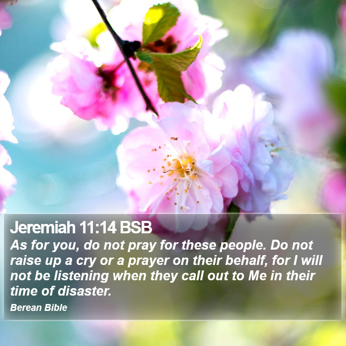 Jeremiah 11:14 BSB Bible Study