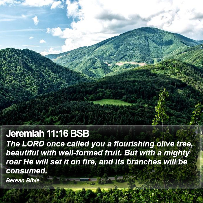 Jeremiah 11:16 BSB Bible Study