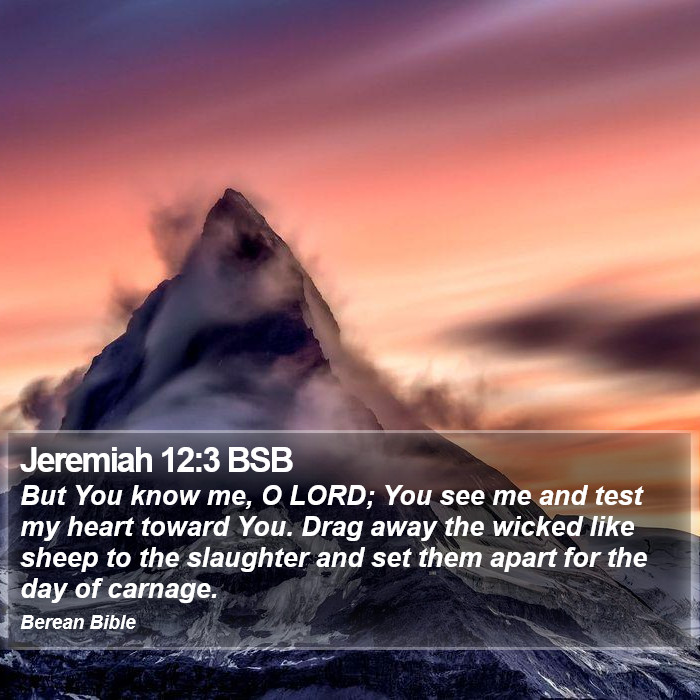 Jeremiah 12:3 BSB Bible Study