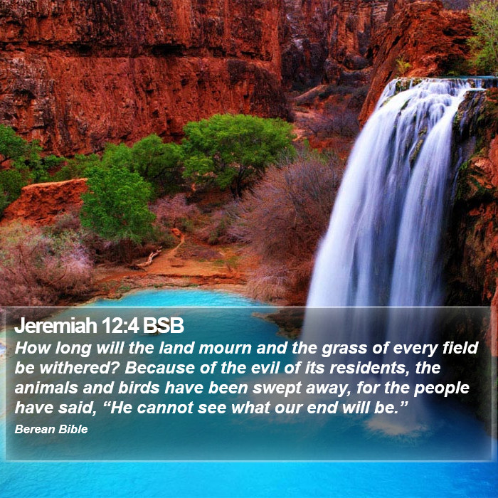 Jeremiah 12:4 BSB Bible Study