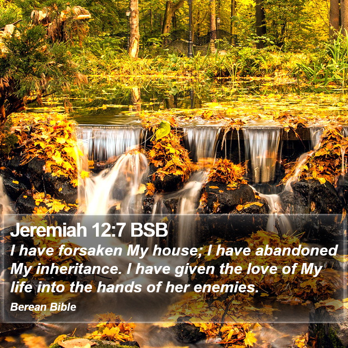 Jeremiah 12:7 BSB Bible Study