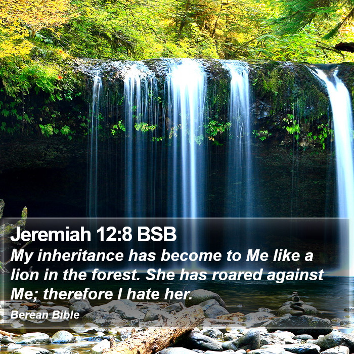 Jeremiah 12:8 BSB Bible Study