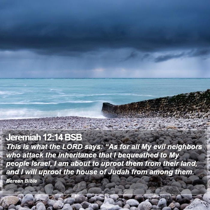 Jeremiah 12:14 BSB Bible Study