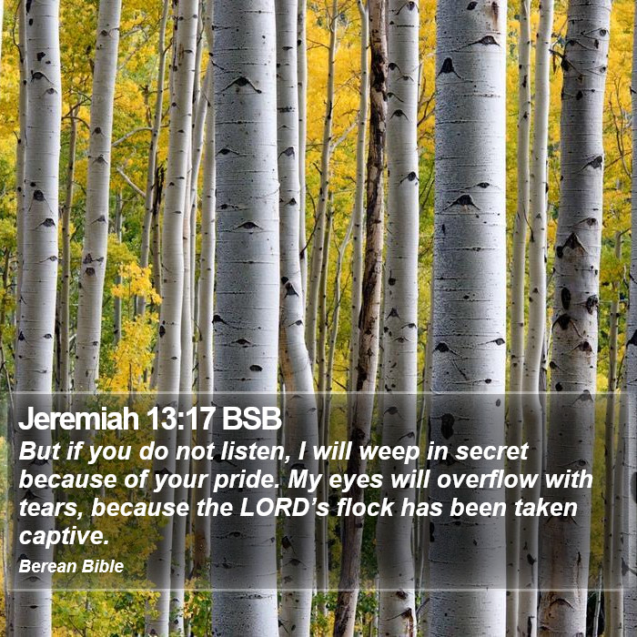 Jeremiah 13:17 BSB Bible Study