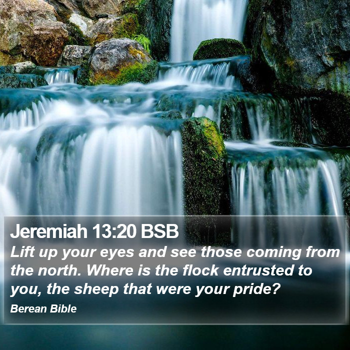 Jeremiah 13:20 BSB Bible Study