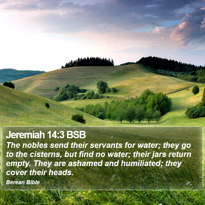 Jeremiah 14:3 BSB Bible Study