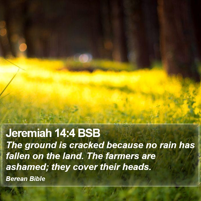 Jeremiah 14:4 BSB Bible Study