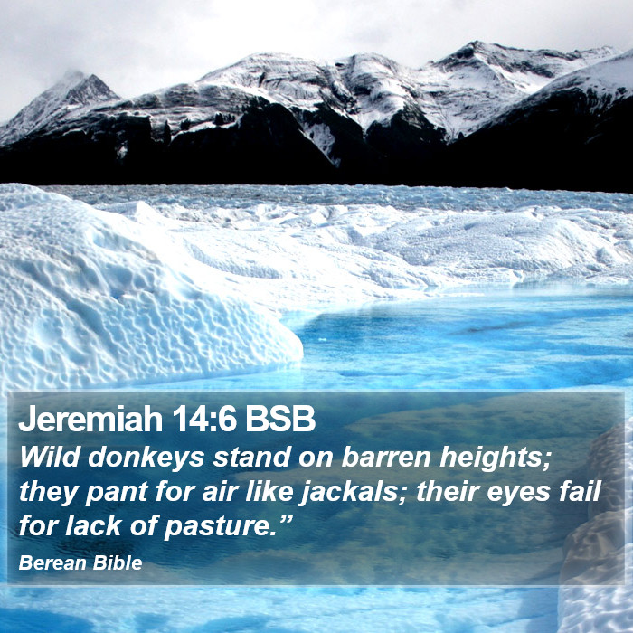 Jeremiah 14:6 BSB Bible Study