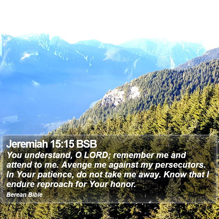 Jeremiah 15:15 BSB Bible Study