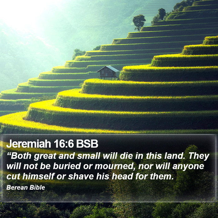 Jeremiah 16:6 BSB Bible Study