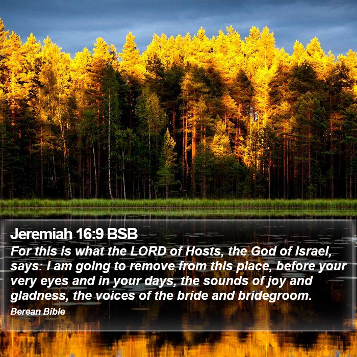 Jeremiah 16:9 BSB Bible Study