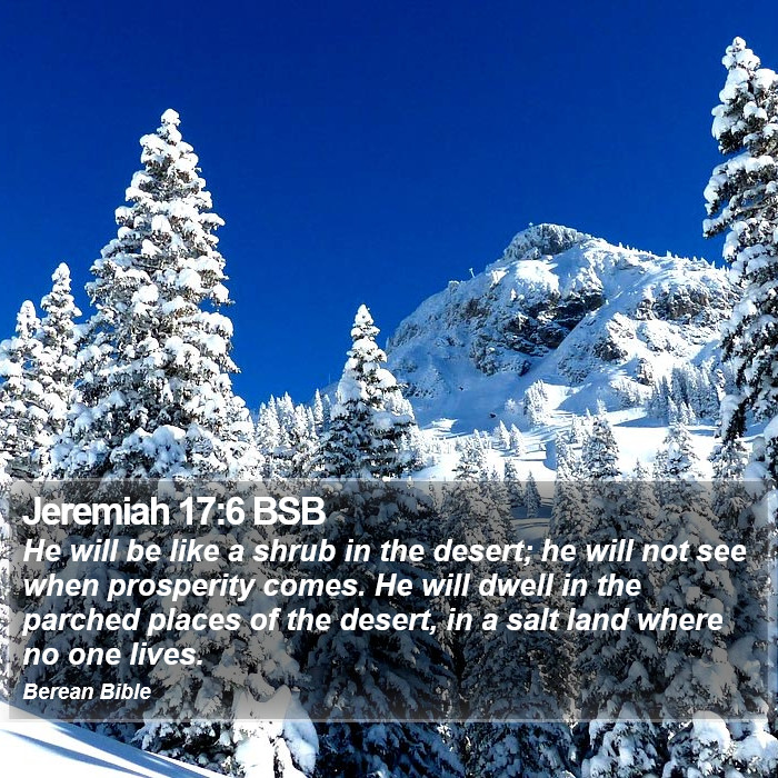 Jeremiah 17:6 BSB Bible Study