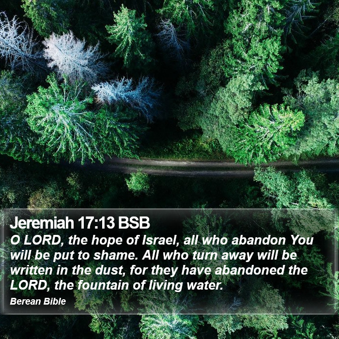 Jeremiah 17:13 BSB Bible Study