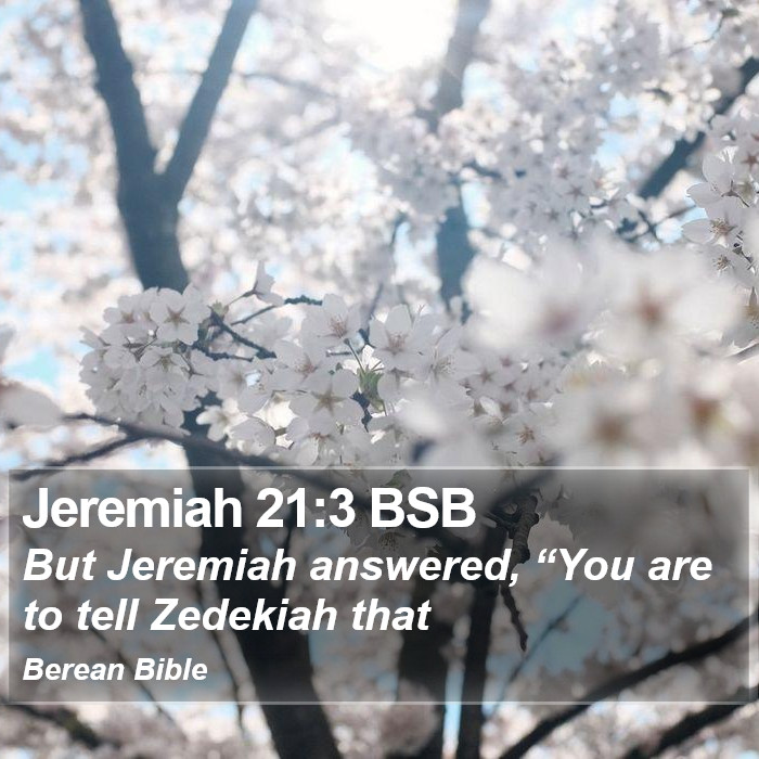 Jeremiah 21:3 BSB Bible Study