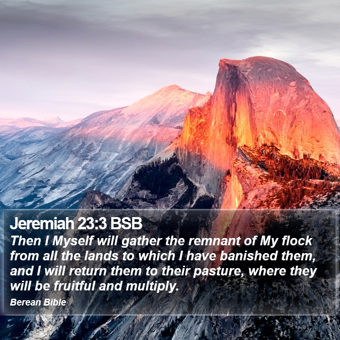 Jeremiah 23:3 BSB Bible Study