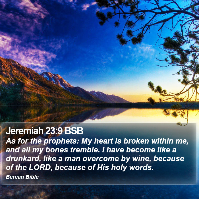 Jeremiah 23:9 BSB Bible Study