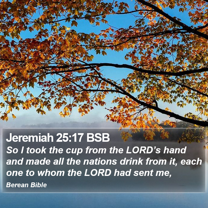 Jeremiah 25:17 BSB Bible Study