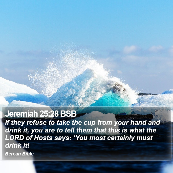 Jeremiah 25:28 BSB Bible Study