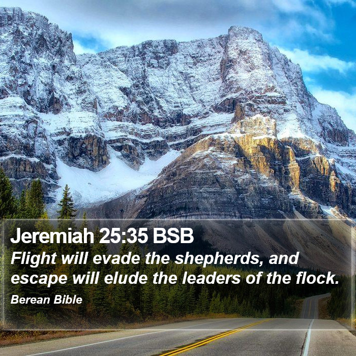 Jeremiah 25:35 BSB Bible Study