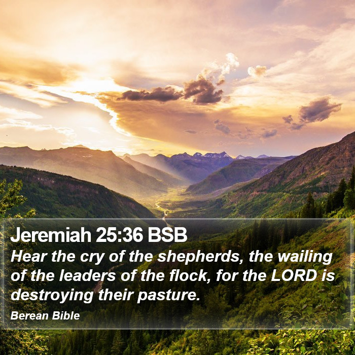 Jeremiah 25:36 BSB Bible Study