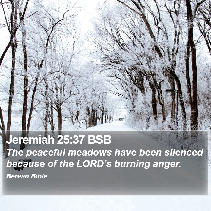 Jeremiah 25:37 BSB Bible Study