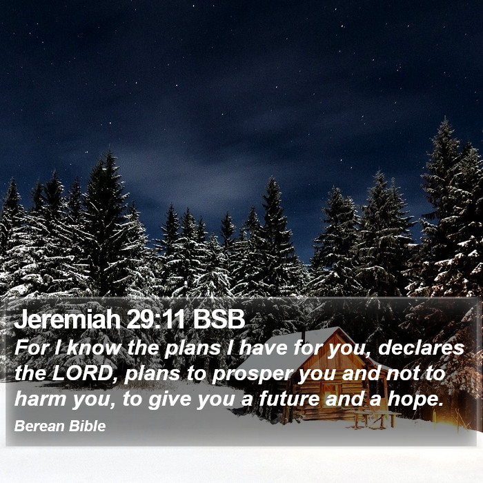 Jeremiah 29:11 BSB Bible Study