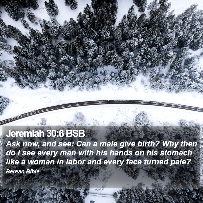 Jeremiah 30:6 BSB Bible Study