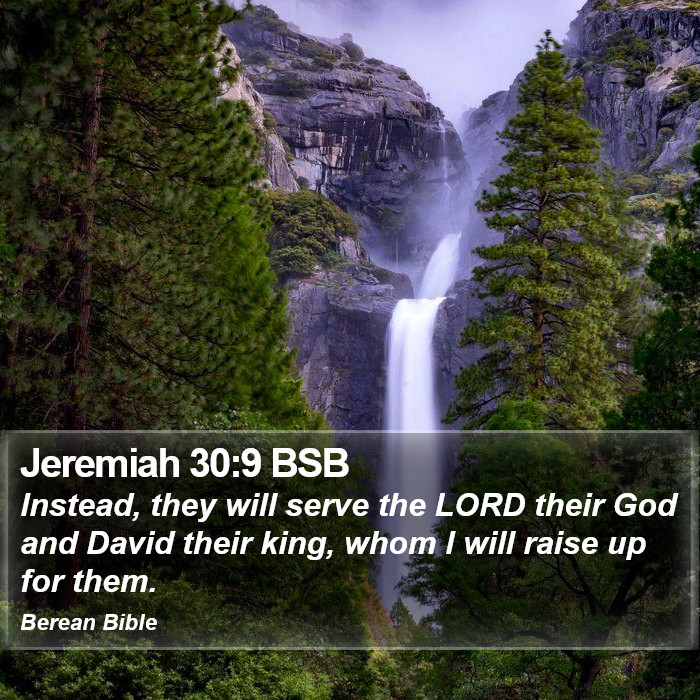 Jeremiah 30:9 BSB Bible Study