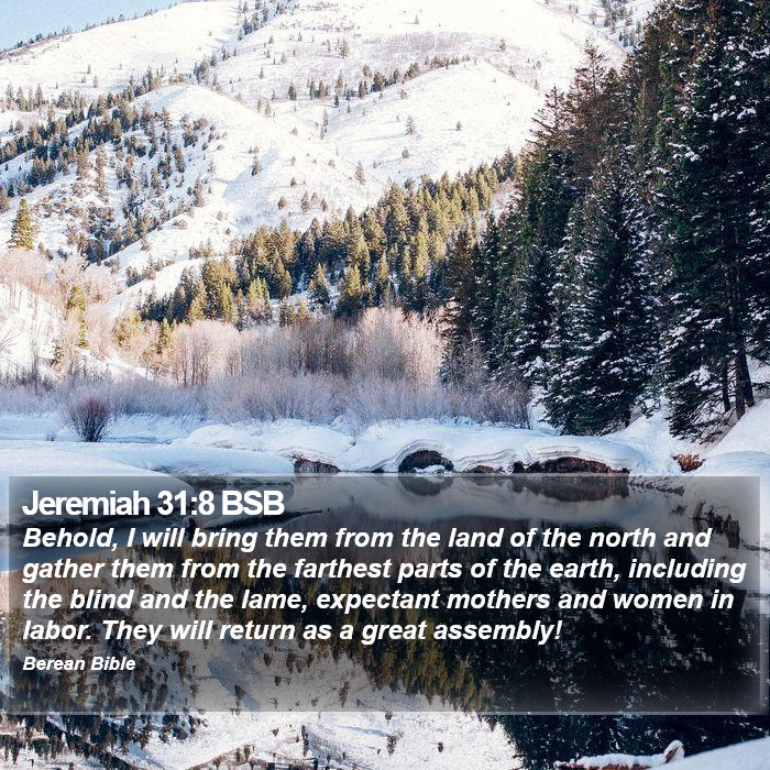 Jeremiah 31:8 BSB Bible Study