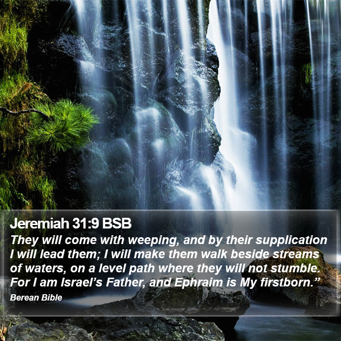 Jeremiah 31:9 BSB Bible Study