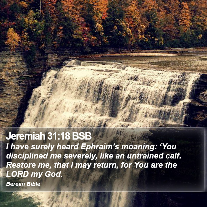 Jeremiah 31:18 BSB Bible Study