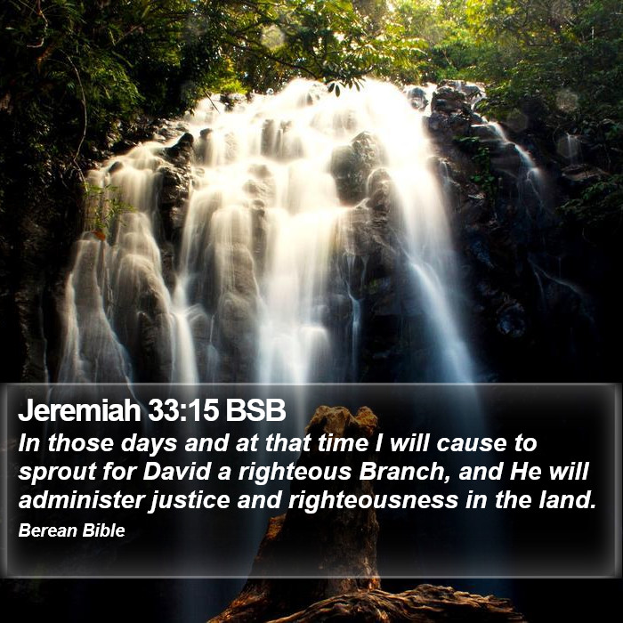 Jeremiah 33:15 BSB Bible Study