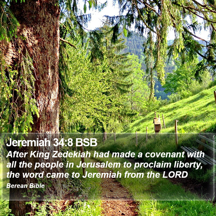 Jeremiah 34:8 BSB Bible Study