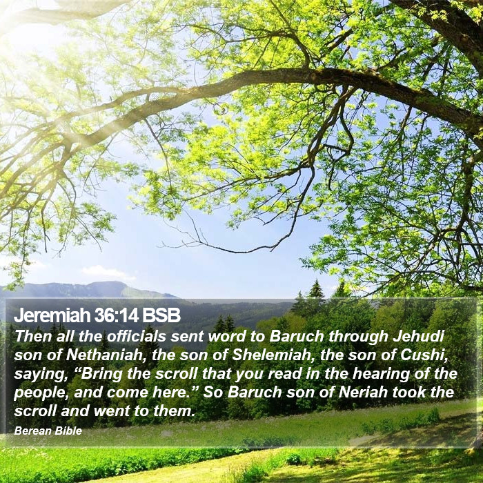 Jeremiah 36:14 BSB Bible Study