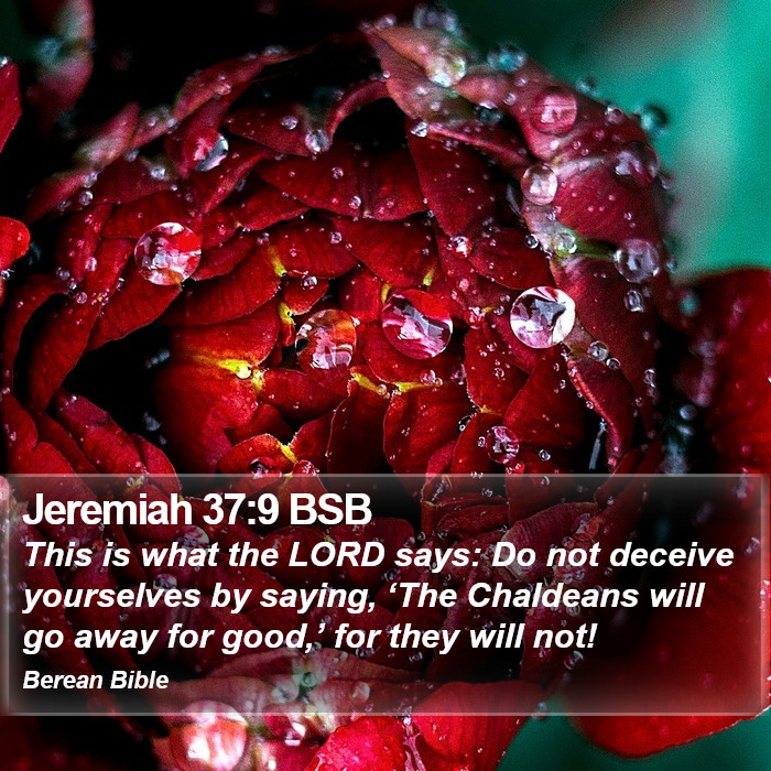 Jeremiah 37:9 BSB Bible Study