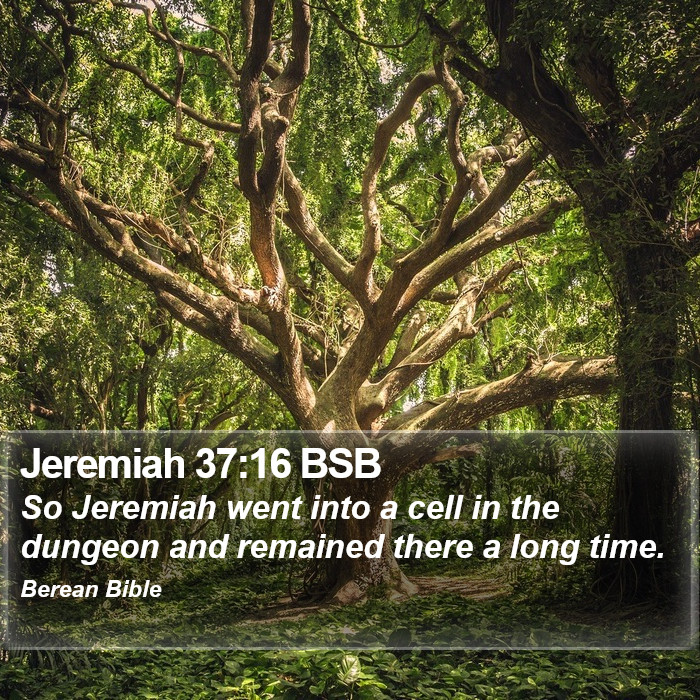 Jeremiah 37:16 BSB Bible Study