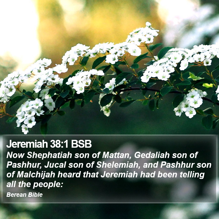 Jeremiah 38:1 BSB Bible Study